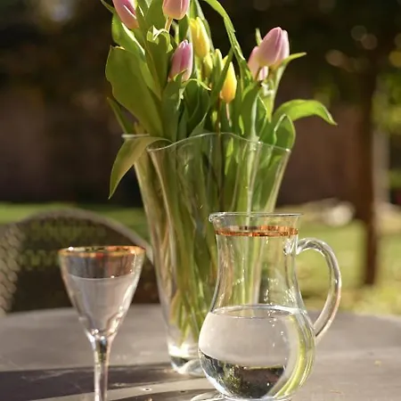 Guest House Villa Montalto Grottaferrata